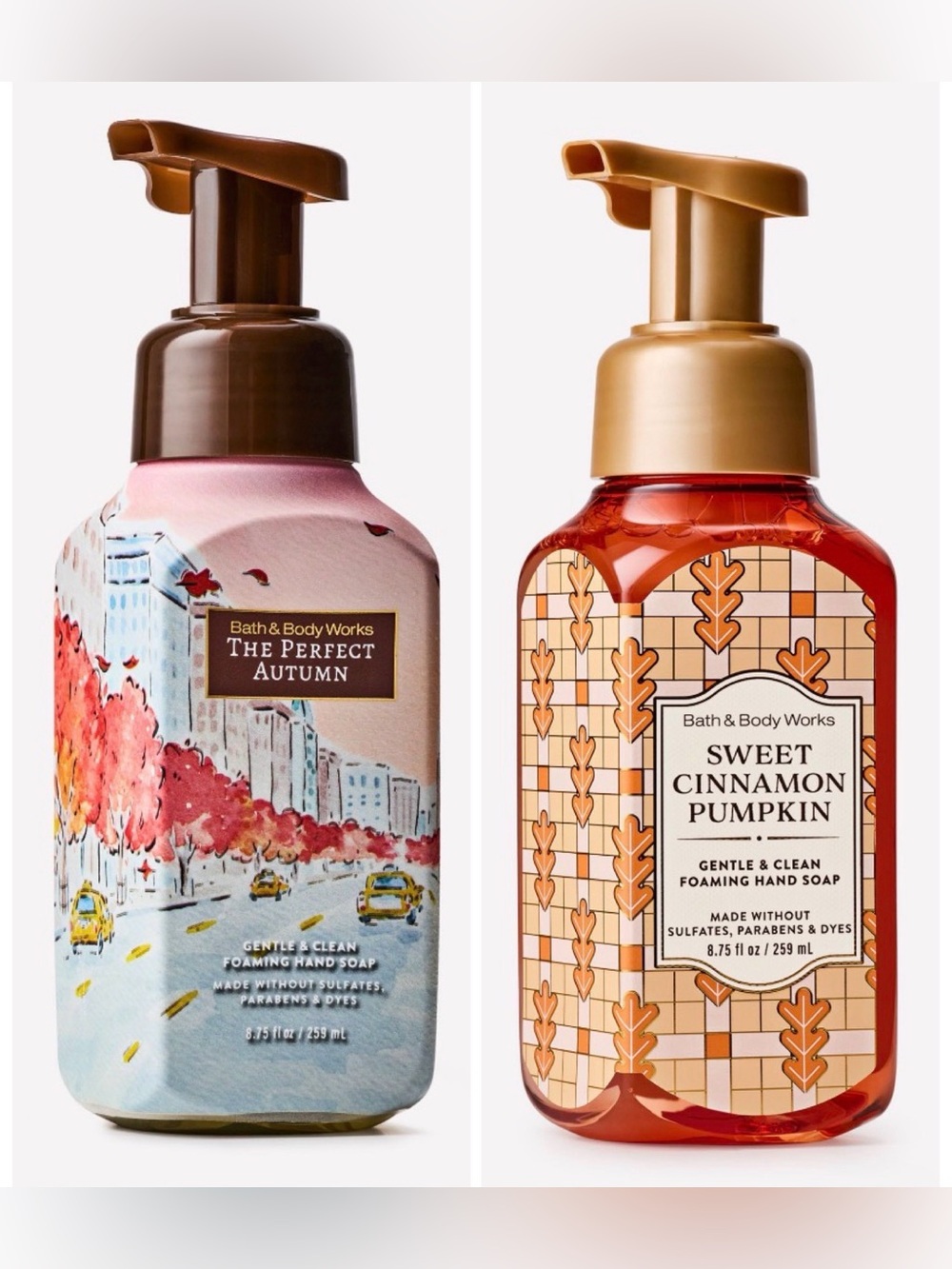 Bath & Body Works NWT (R $17) Hand Soap Duo